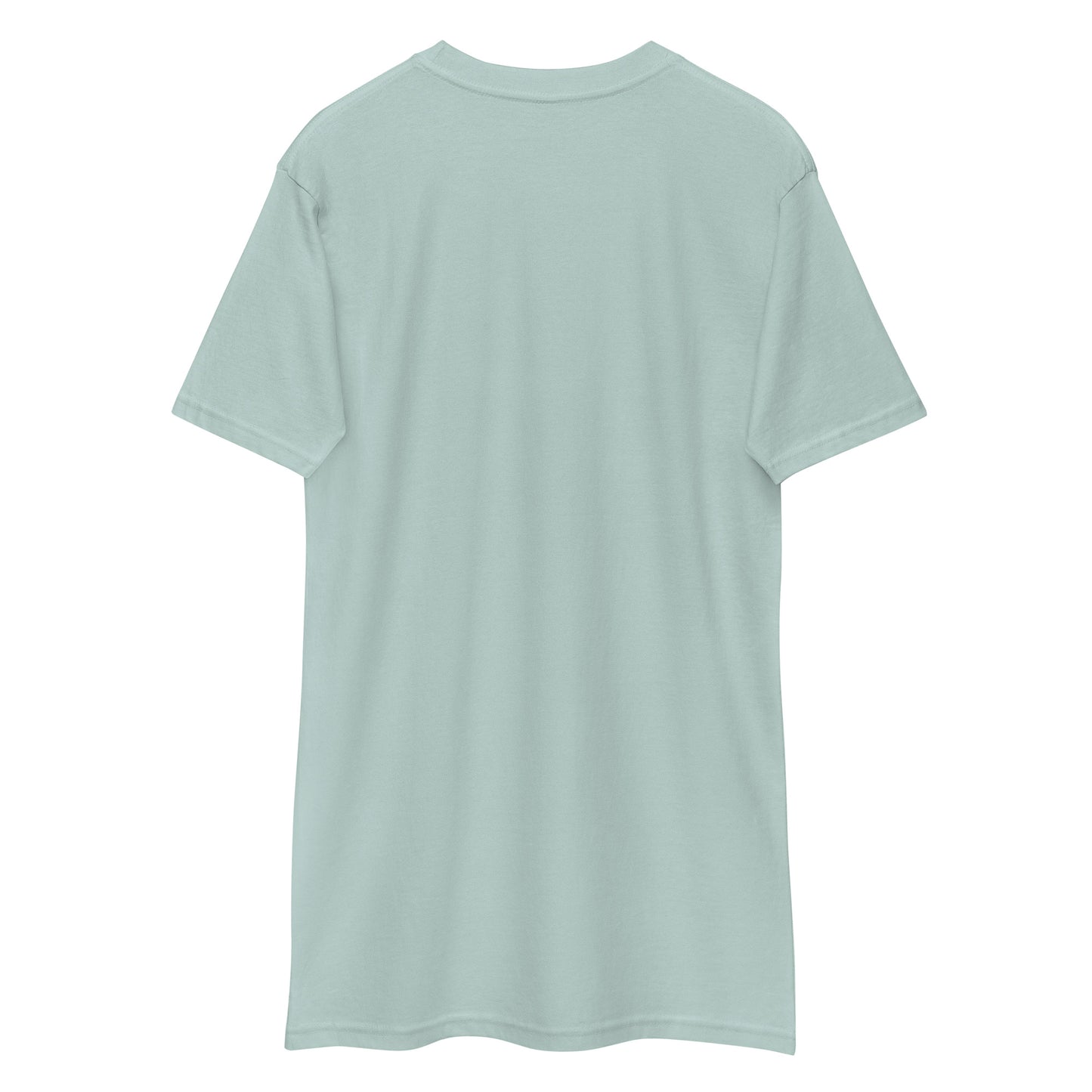 So Into My Self Fitness - Men’s premium heavyweight tee